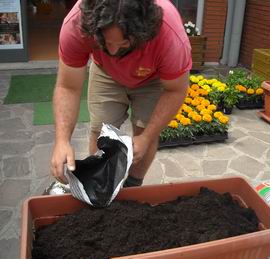 Il giardiniere versa la terra nel vaso