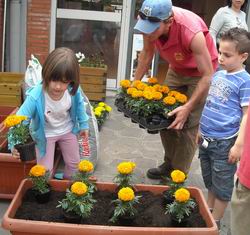 Bambini che piantano nella fioriera i tageti