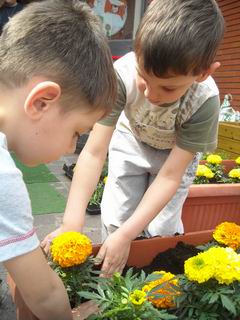 Bambini che piantano i fiori